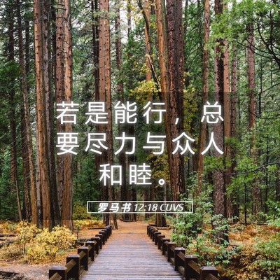 Picture 05 - 罗 马 书 12:18 CUVS - 若 是 能 行 ， 总 要 尽 力 与 众 人 - Bible Verse Picture