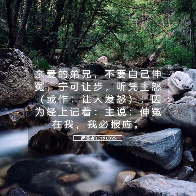 Picture 05 - 罗 马 书 12:19 CUVS - 亲 爱 的 弟 兄 ， 不 要 自 己 伸 冤 - Bible Verse Picture