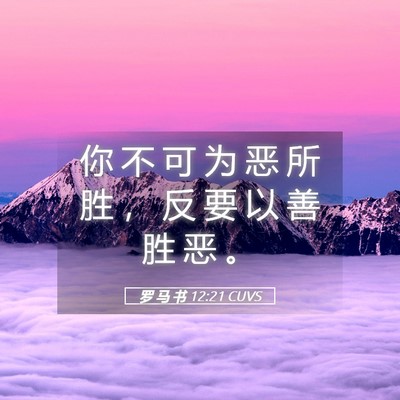 Picture 05 - 罗 马 书 12:21 CUVS - 你 不 可 为 恶 所 胜 ， 反 要 以 善 - Bible Verse Picture