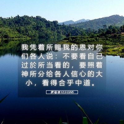 Picture 05 - 罗 马 书 12:3 CUVS - 我 凭 着 所 赐 我 的 恩 对 你 们 各 - Bible Verse Picture