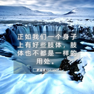 Picture 05 - 罗 马 书 12:4 CUVS - 正 如 我 们 一 个 身 子 上 有 好 些 - Bible Verse Picture