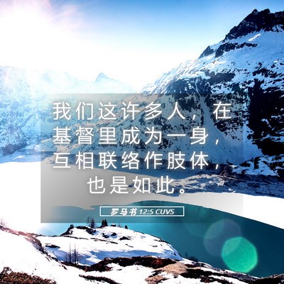 Picture 05 - 罗 马 书 12:5 CUVS - 我 们 这 许 多 人 ， 在 基 督 里 成 - Bible Verse Picture