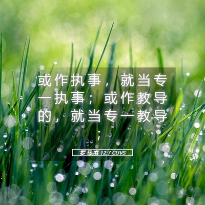 Picture 05 - 罗 马 书 12:7 CUVS - 或 作 执 事 ， 就 当 专 一 执 事 ； - Bible Verse Picture