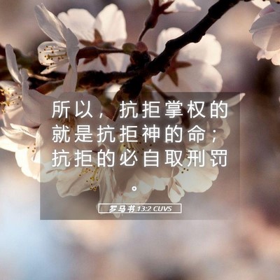 Picture 05 - 罗 马 书 13:2 CUVS - 所 以 ， 抗 拒 掌 权 的 就 是 抗 拒 - Bible Verse Picture