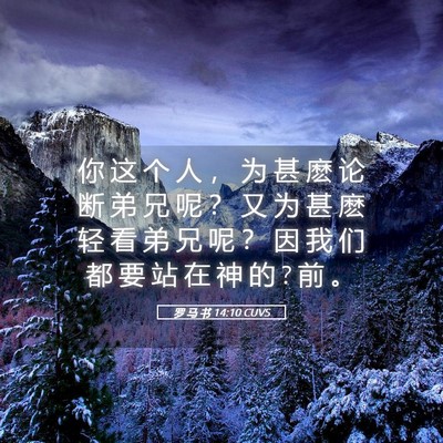 Picture 05 - 罗 马 书 14:10 CUVS - 你 这 个 人 ， 为 甚 麽 论 断 弟 兄 - Bible Verse Picture