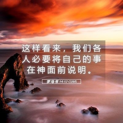 Picture 05 - 罗 马 书 14:12 CUVS - 这 样 看 来 ， 我 们 各 人 必 要 将 - Bible Verse Picture
