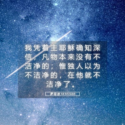 Picture 05 - 罗 马 书 14:14 CUVS - 我 凭 着 主 耶 稣 确 知 深 信 ， 凡 - Bible Verse Picture