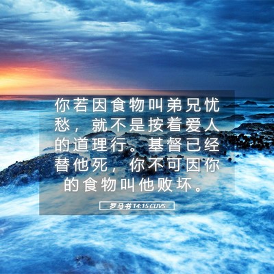Picture 05 - 罗 马 书 14:15 CUVS - 你 若 因 食 物 叫 弟 兄 忧 愁 ， 就 - Bible Verse Picture