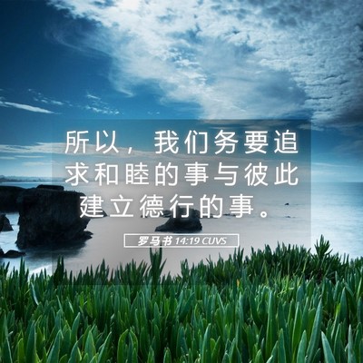 Picture 05 - 罗 马 书 14:19 CUVS - 所 以 ， 我 们 务 要 追 求 和 睦 的 - Bible Verse Picture