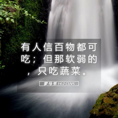 Picture 05 - 罗 马 书 14:2 CUVS - 有 人 信 百 物 都 可 吃 ； 但 那 软 - Bible Verse Picture