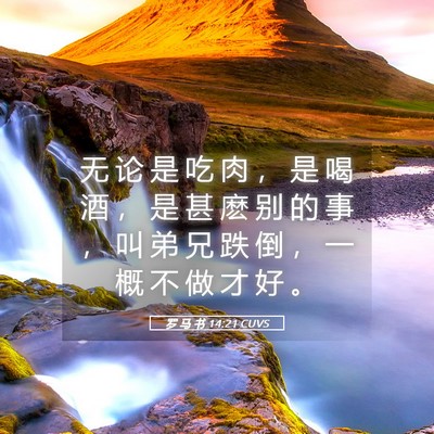 Picture 05 - 罗 马 书 14:21 CUVS - 无 论 是 吃 肉 ， 是 喝 酒 ， 是 甚 - Bible Verse Picture