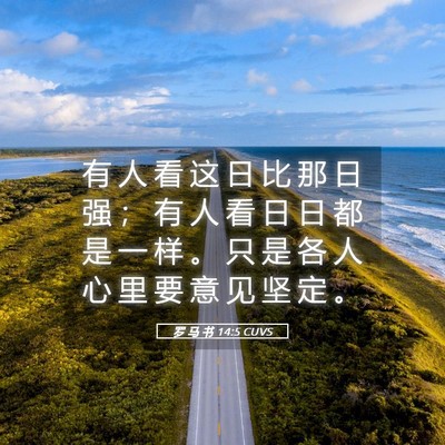 Picture 05 - 罗 马 书 14:5 CUVS - 有 人 看 这 日 比 那 日 强 ； 有 人 - Bible Verse Picture