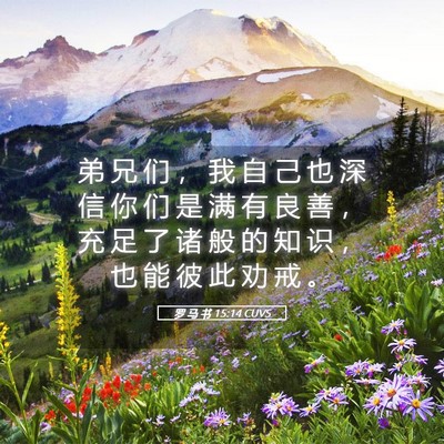 Picture 05 - 罗 马 书 15:14 CUVS - 弟 兄 们 ， 我 自 己 也 深 信 你 们 - Bible Verse Picture