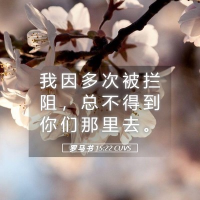 Picture 05 - 罗 马 书 15:22 CUVS - 我 因 多 次 被 拦 阻 ， 总 不 得 到 - Bible Verse Picture