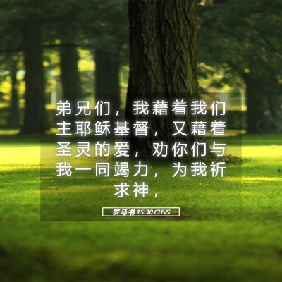 Picture 05 - 罗 马 书 15:30 CUVS - 弟 兄 们 ， 我 藉 着 我 们 主 耶 稣 - Bible Verse Picture