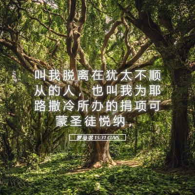 Picture 05 - 罗 马 书 15:31 CUVS - 叫 我 脱 离 在 犹 太 不 顺 从 的 人 - Bible Verse Picture