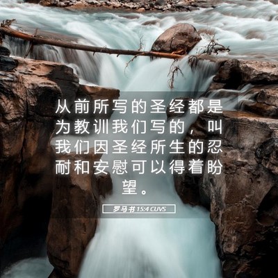 Picture 05 - 罗 马 书 15:4 CUVS - 从 前 所 写 的 圣 经 都 是 为 教 训 - Bible Verse Picture