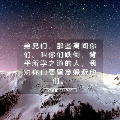 Picture 05 - 罗 马 书 16:17 CUVS - 弟 兄 们 ， 那 些 离 间 你 们 、 叫 - Bible Verse Picture