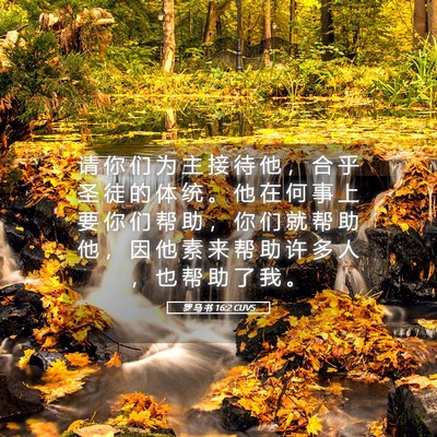 Picture 05 - 罗 马 书 16:2 CUVS - 请 你 们 为 主 接 待 他 ， 合 乎 圣 - Bible Verse Picture