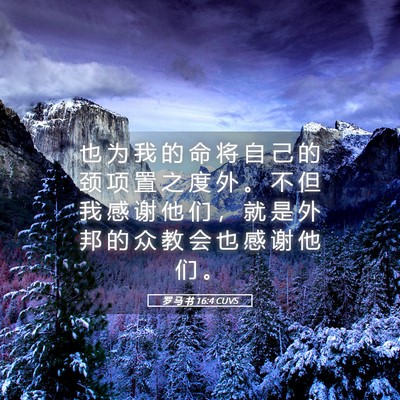 Picture 05 - 罗 马 书 16:4 CUVS - 也 为 我 的 命 将 自 己 的 颈 项 置 - Bible Verse Picture