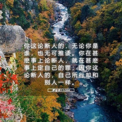 Picture 05 - 罗 马 书 2:1 CUVS - 你 这 论 断 人 的 ， 无 论 你 是 谁 - Bible Verse Picture