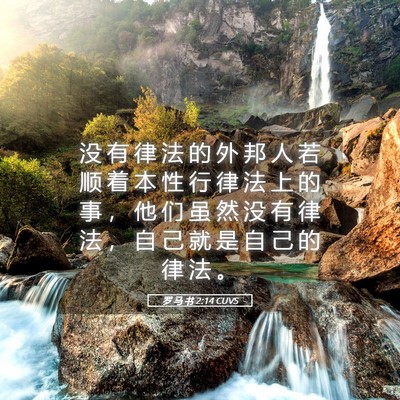 Picture 05 - 罗 马 书 2:14 CUVS - 没 有 律 法 的 外 邦 人 若 顺 着 本 - Bible Verse Picture