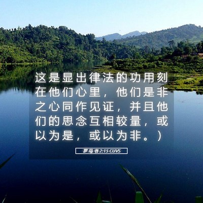 Picture 05 - 罗 马 书 2:15 CUVS - 这 是 显 出 律 法 的 功 用 刻 在 他 - Bible Verse Picture