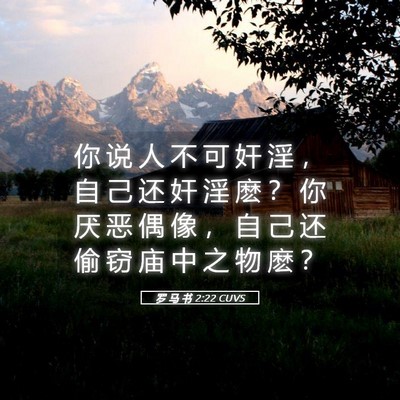 Picture 05 - 罗 马 书 2:22 CUVS - 你 说 人 不 可 奸 淫 ， 自 己 还 奸 - Bible Verse Picture