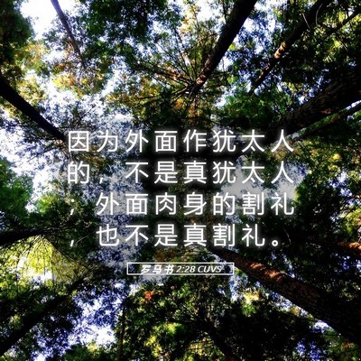 Picture 05 - 罗 马 书 2:28 CUVS - 因 为 外 面 作 犹 太 人 的 ， 不 是 - Bible Verse Picture