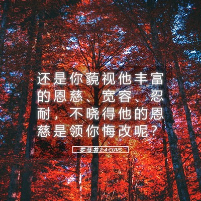 Picture 05 - 罗 马 书 2:4 CUVS - 还 是 你 藐 视 他 丰 富 的 恩 慈 、 - Bible Verse Picture