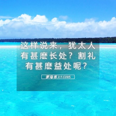 Picture 05 - 罗 马 书 3:1 CUVS - 这 样 说 来 ， 犹 太 人 有 甚 麽 长 - Bible Verse Picture
