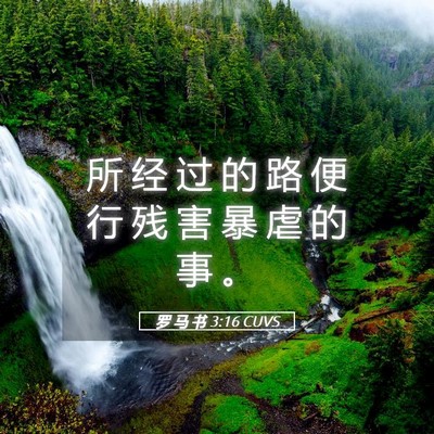 Picture 05 - 罗 马 书 3:16 CUVS - 所 经 过 的 路 便 行 残 害 暴 虐 的 - Bible Verse Picture