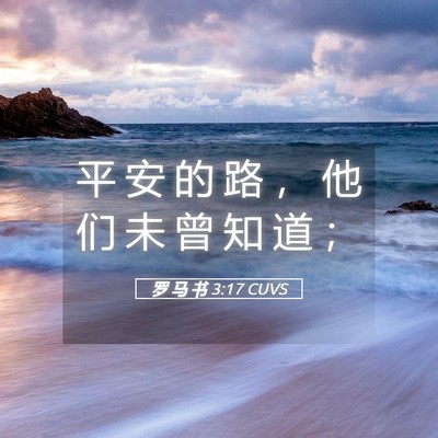 Picture 05 - 罗 马 书 3:17 CUVS - 平 安 的 路 ， 他 们 未 曾 知 道 - Bible Verse Picture