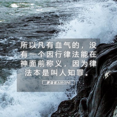 Picture 05 - 罗 马 书 3:20 CUVS - 所 以 凡 有 血 气 的 ， 没 有 一 个 - Bible Verse Picture