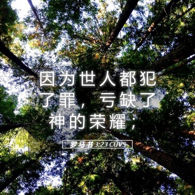 Picture 05 - 罗 马 书 3:23 CUVS - 因 为 世 人 都 犯 了 罪 ， 亏 缺 了 - Bible Verse Picture