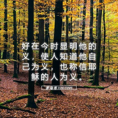 Picture 05 - 罗 马 书 3:26 CUVS - 好 在 今 时 显 明 他 的 义 ， 使 人 - Bible Verse Picture