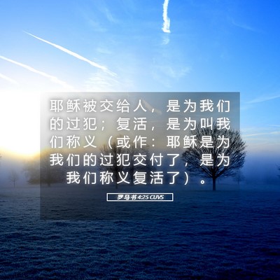 Picture 05 - 罗 马 书 4:25 CUVS - 耶 稣 被 交 给 人 ， 是 为 我 们 的 - Bible Verse Picture
