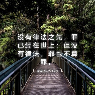 Picture 05 - 罗 马 书 5:13 CUVS - 没 有 律 法 之 先 ， 罪 已 经 在 世 - Bible Verse Picture