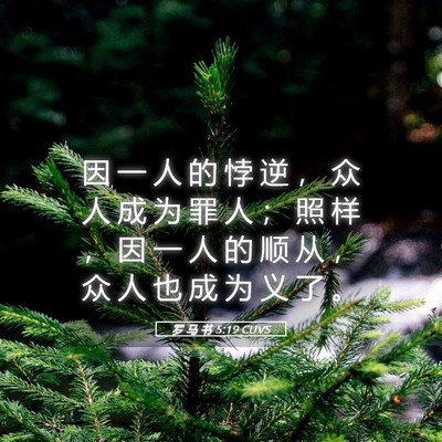 Picture 05 - 罗 马 书 5:19 CUVS - 因 一 人 的 悖 逆 ， 众 人 成 为 罪 - Bible Verse Picture