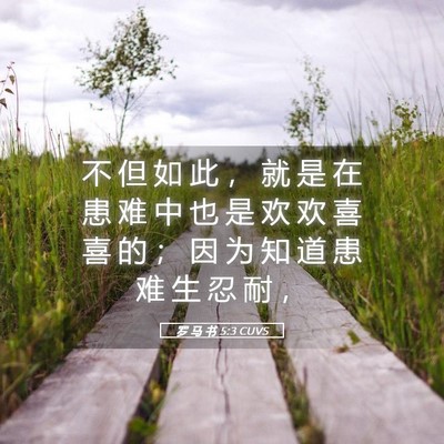 Picture 05 - 罗 马 书 5:3 CUVS - 不 但 如 此 ， 就 是 在 患 难 中 也 - Bible Verse Picture