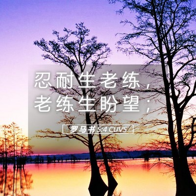 Picture 05 - 罗 马 书 5:4 CUVS - 忍 耐 生 老 练 ， 老 练 生 盼 望 - Bible Verse Picture