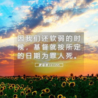 Picture 05 - 罗 马 书 5:6 CUVS - 因 我 们 还 软 弱 的 时 候 ， 基 督 - Bible Verse Picture