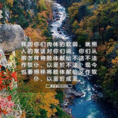Picture 05 - 罗 马 书 6:19 CUVS - 我 因 你 们 肉 体 的 软 弱 ， 就 照 - Bible Verse Picture