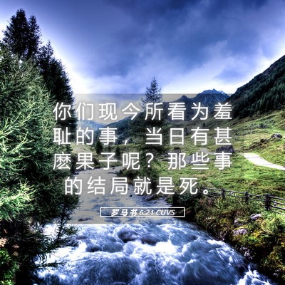 Picture 05 - 罗 马 书 6:21 CUVS - 你 们 现 今 所 看 为 羞 耻 的 事 ， - Bible Verse Picture