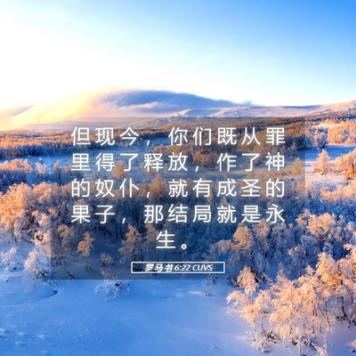 Picture 05 - 罗 马 书 6:22 CUVS - 但 现 今 ， 你 们 既 从 罪 里 得 了 - Bible Verse Picture