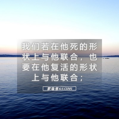 Picture 05 - 罗 马 书 6:5 CUVS - 我 们 若 在 他 死 的 形 状 上 与 他 - Bible Verse Picture