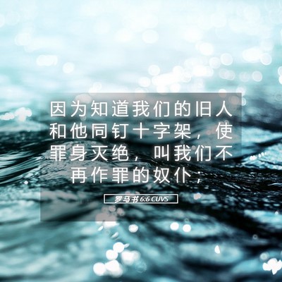 Picture 05 - 罗 马 书 6:6 CUVS - 因 为 知 道 我 们 的 旧 人 和 他 同 - Bible Verse Picture