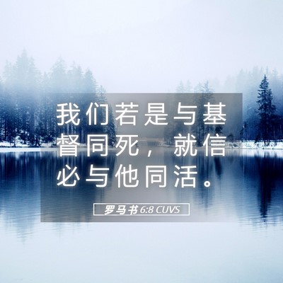 Picture 05 - 罗 马 书 6:8 CUVS - 我 们 若 是 与 基 督 同 死 ， 就 信 - Bible Verse Picture