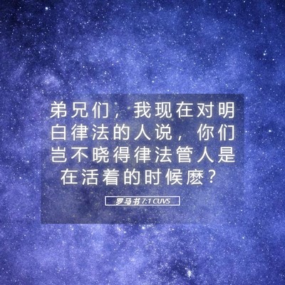 Picture 05 - 罗 马 书 7:1 CUVS - 弟 兄 们 ， 我 现 在 对 明 白 律 法 - Bible Verse Picture