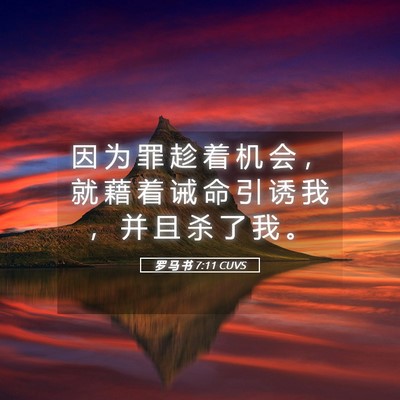Picture 05 - 罗 马 书 7:11 CUVS - 因 为 罪 趁 着 机 会 ， 就 藉 着 诫 - Bible Verse Picture